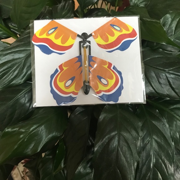 Butterfly Toy Wind and Let Go Book Gift Box and Card Insert Bright Orange Blue - Picture 1 of 2